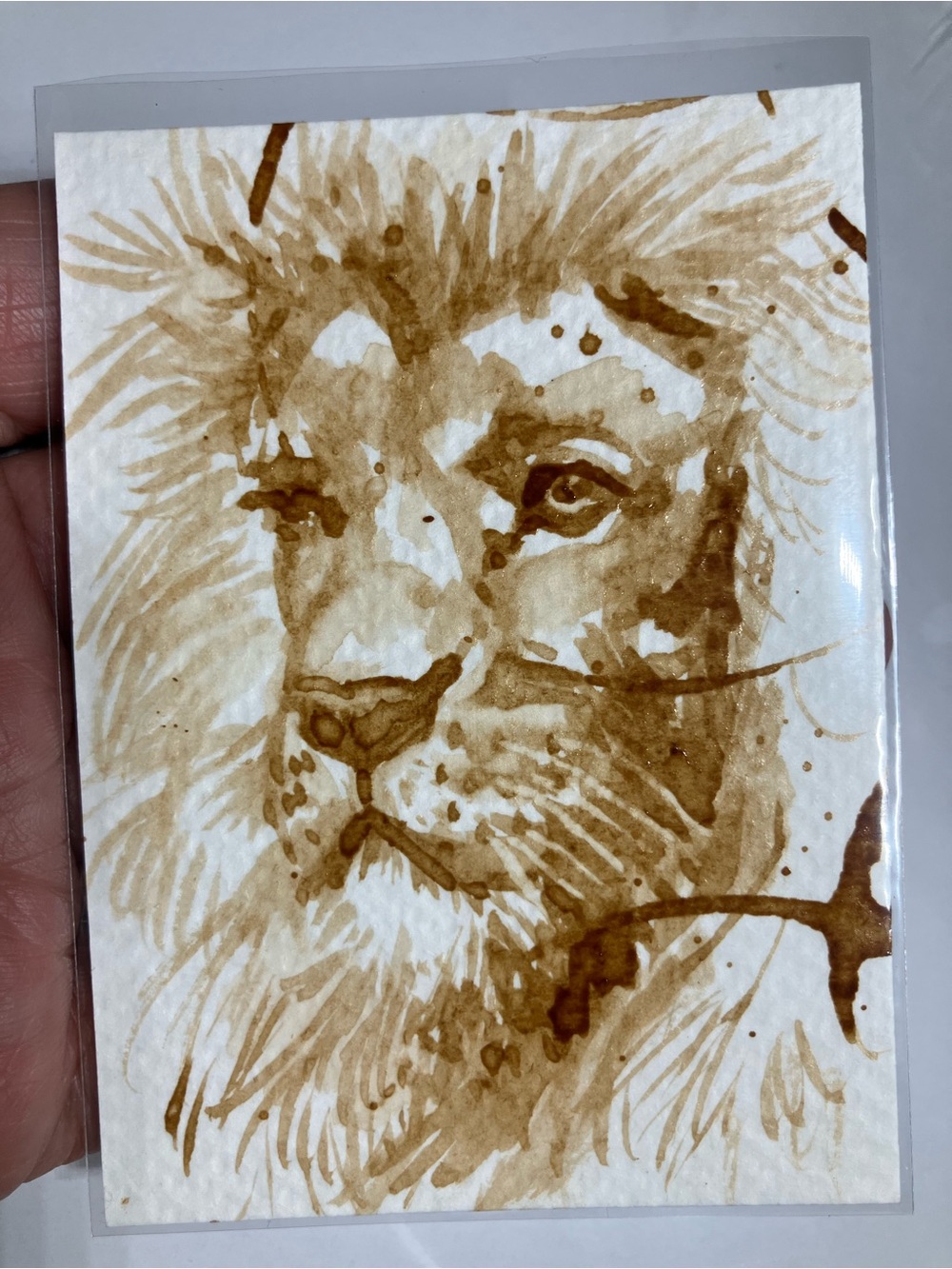 Aceo original lion coffee painting cat Java ATC fun gift or treat yourself